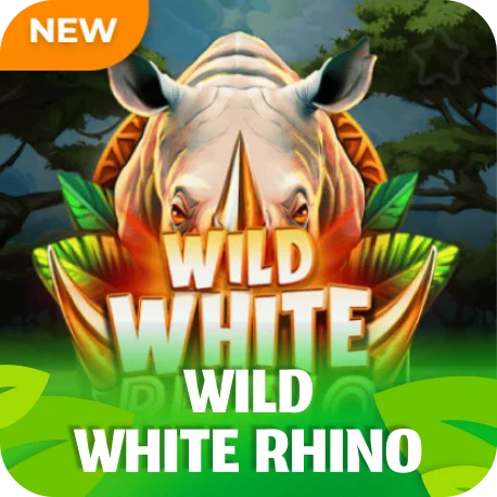 Wild White Rhino